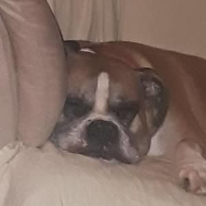 Meet your Posher, Krysta